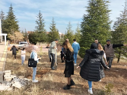 Her Çalışan Bir Fidan